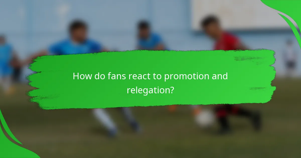 How do fans react to promotion and relegation?