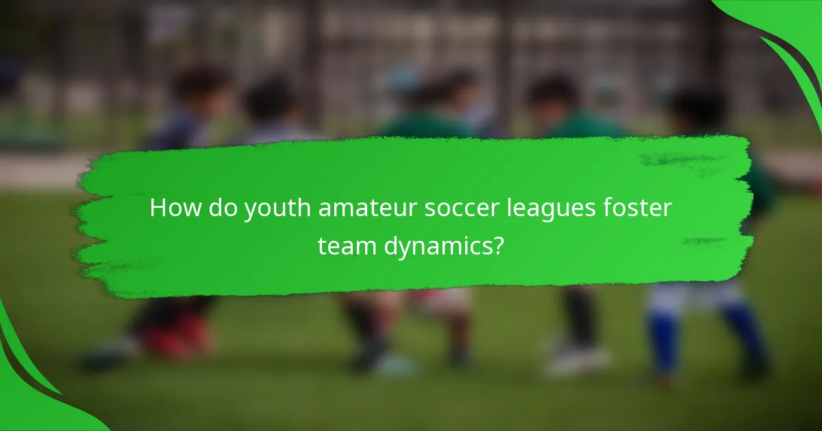 How do youth amateur soccer leagues foster team dynamics?