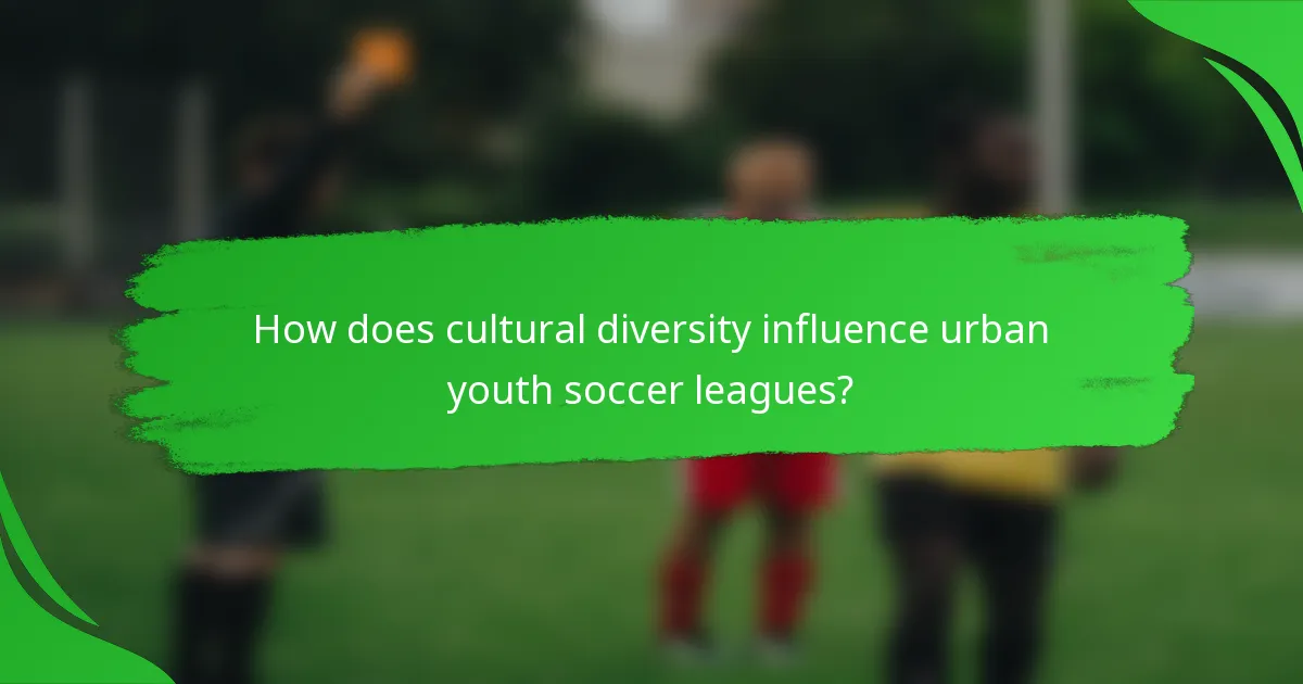 How does cultural diversity influence urban youth soccer leagues?