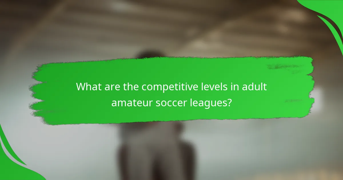 What are the competitive levels in adult amateur soccer leagues?