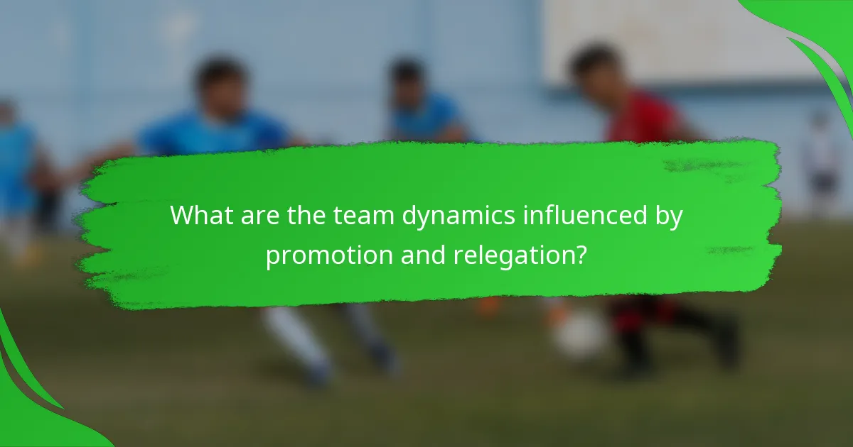What are the team dynamics influenced by promotion and relegation?