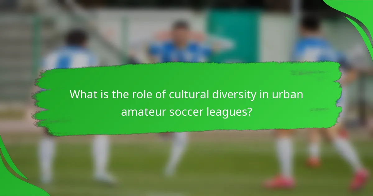 What is the role of cultural diversity in urban amateur soccer leagues?